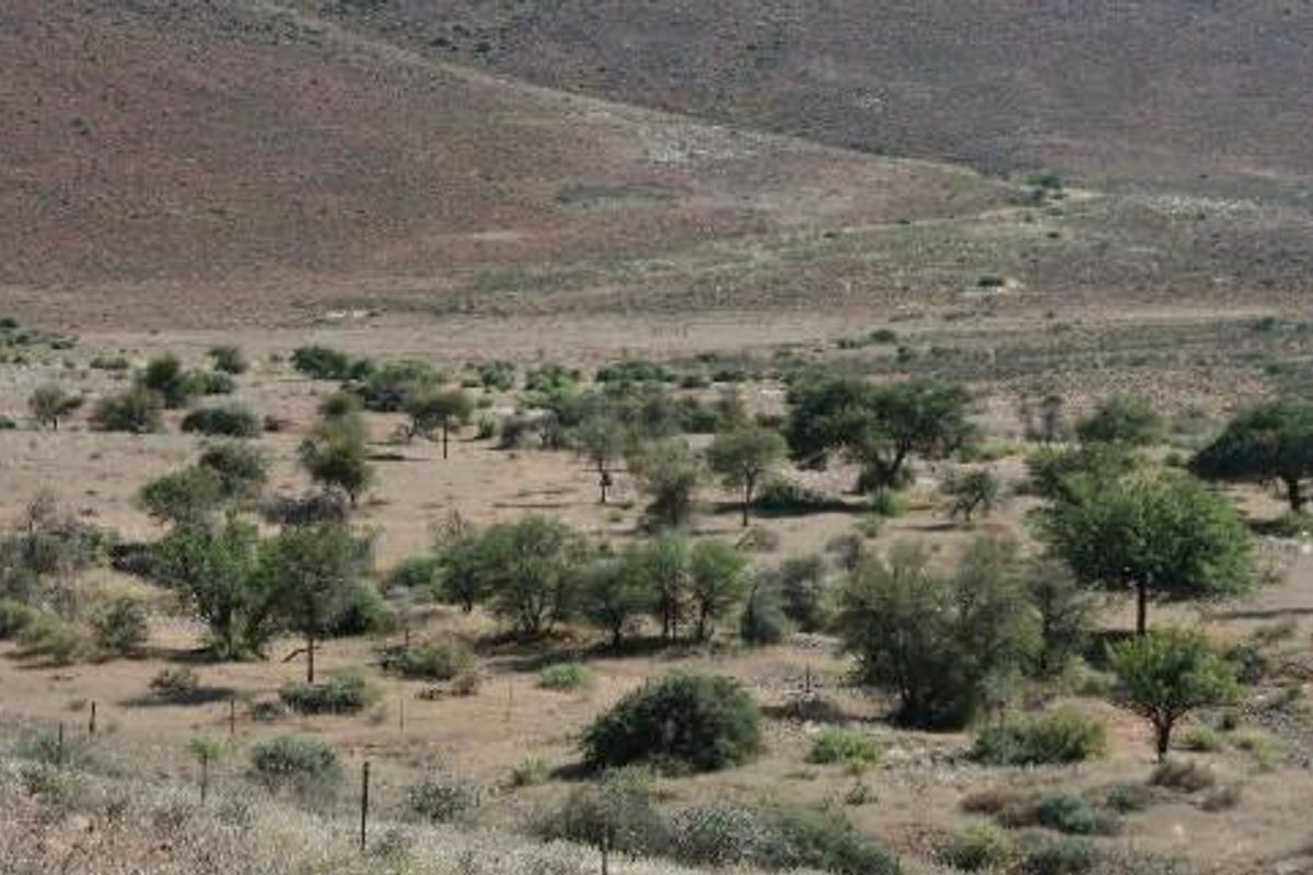 CATTLE / SHEEP / GAME FARMS FOR SALE KARAS REGION - Photo 5