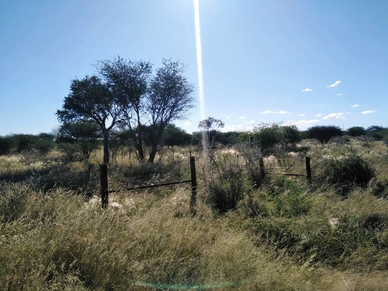 A view of a vacant residential plot featuring natural vegetation, native trees, and existing wire fencing with wooden posts.