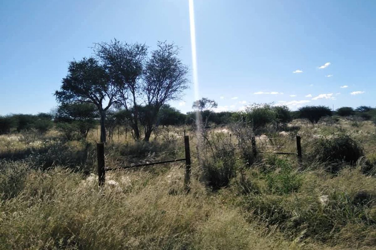 A view of a vacant residential plot featuring natural vegetation, native trees, and existing wire fencing with wooden posts.