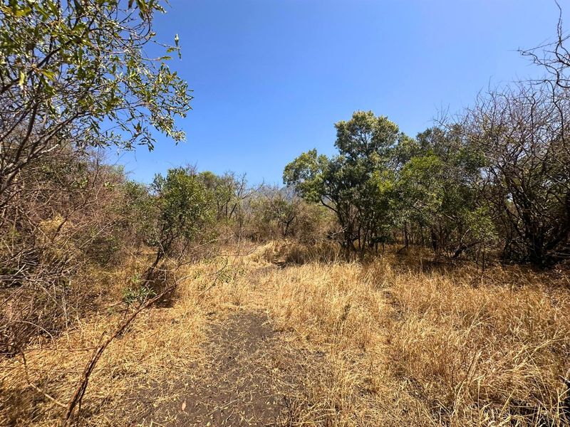 Vacant Stand with Mountain views - Photo 7