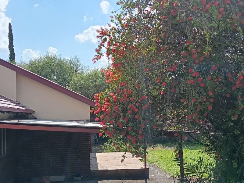 Create new memories - Photo 3