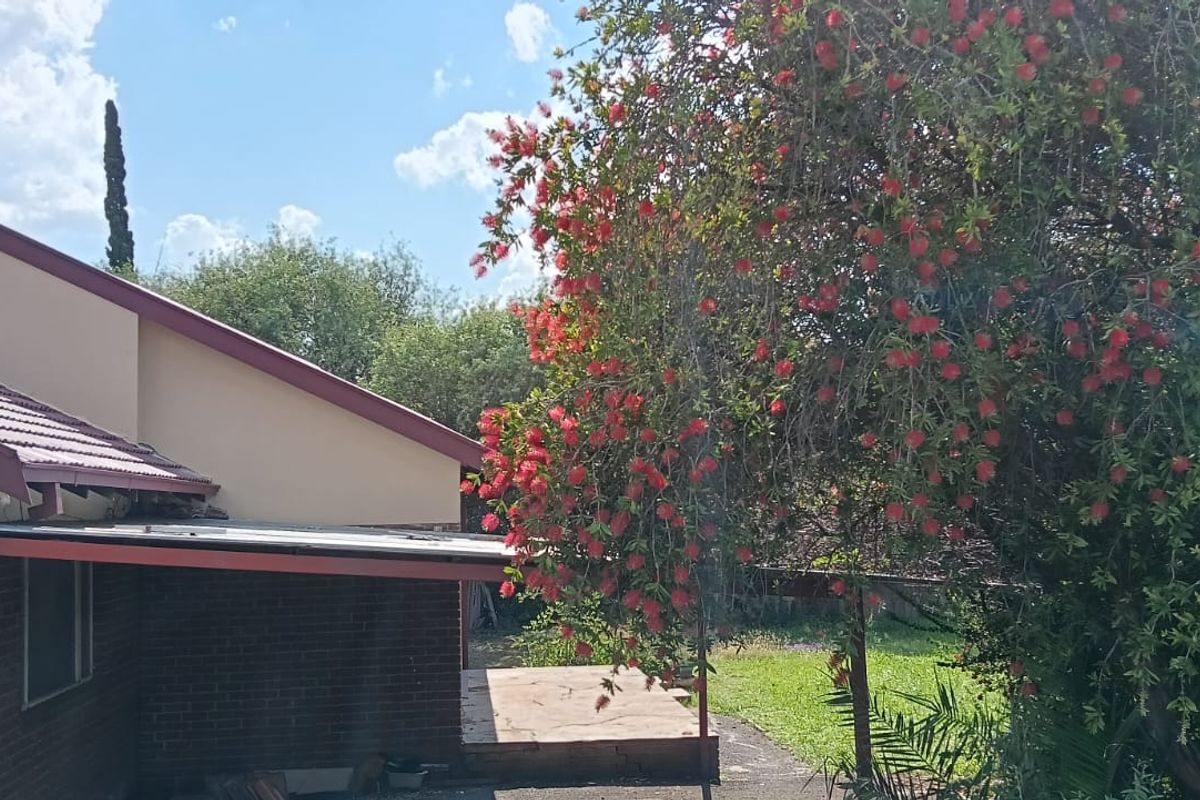 Create new memories - Photo 3