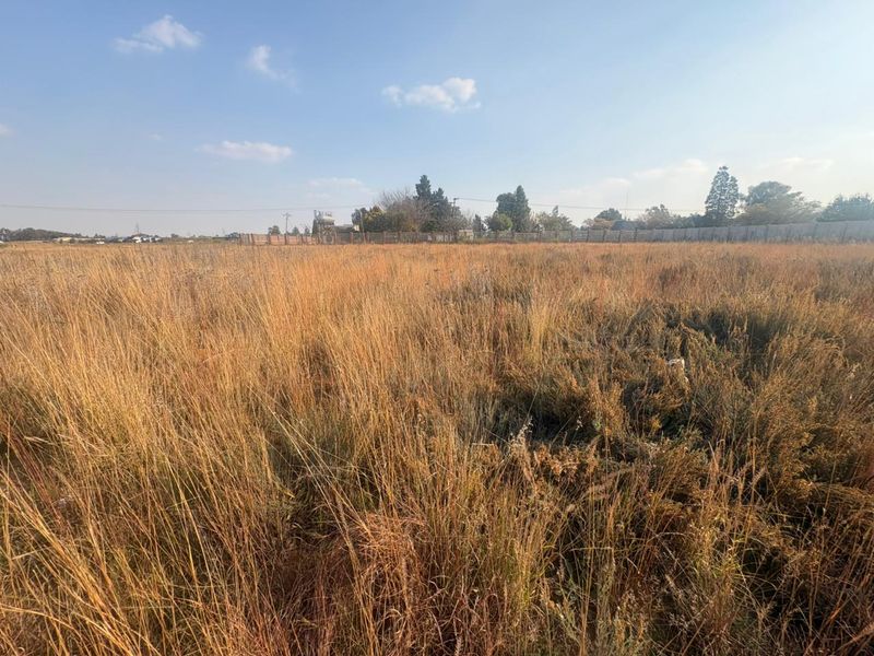 Vacant Land with Endless Potential - Photo 5