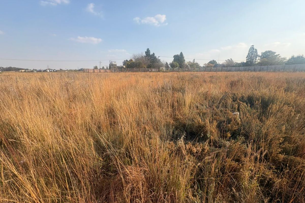 Vacant Land with Endless Potential - Photo 5