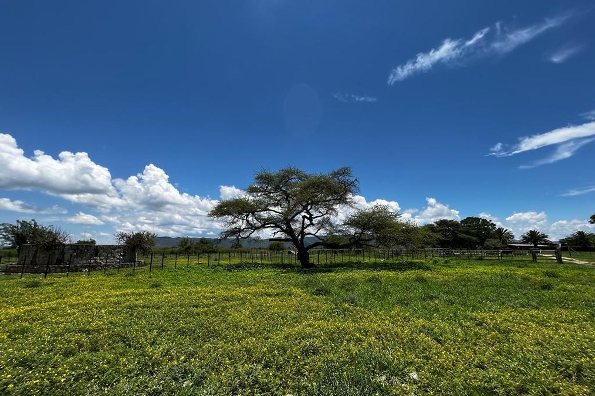 Hashtag Home proudly introduces this plot in an exclusive agricultural development just outside Otavi — a region well-known for its exceptional farming potentia - Photo 2