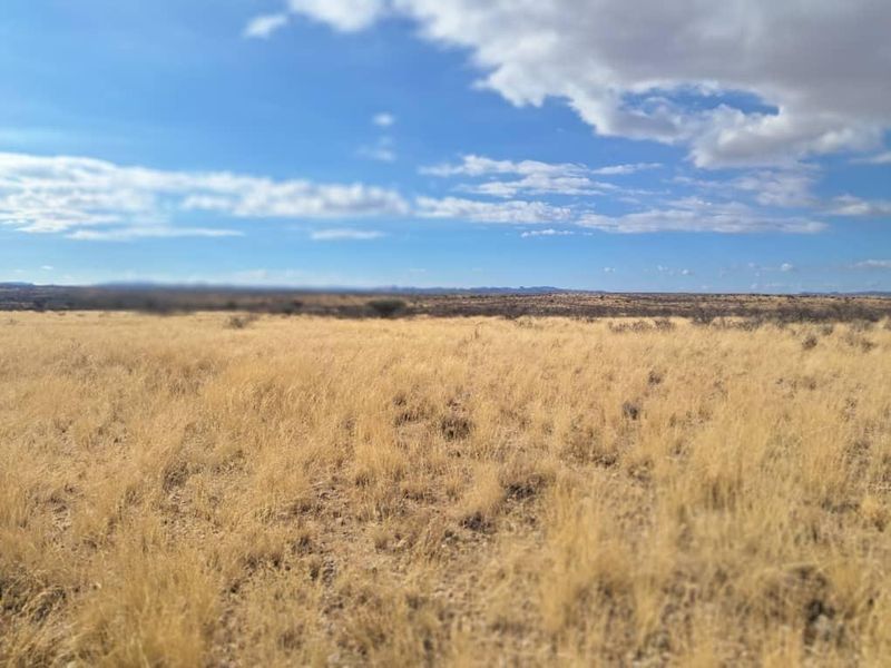 Farm Karnas - Photo 10