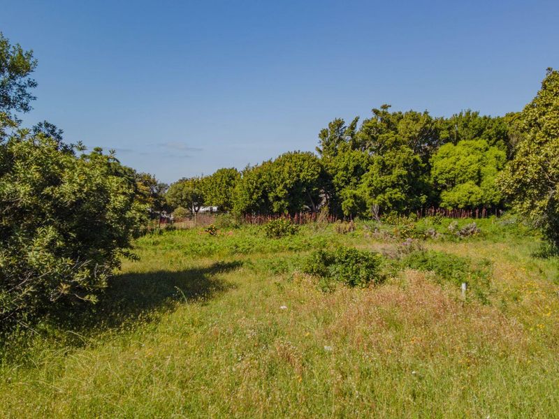 Mountain Avenue 977 sqm Vacant Stand in Kleinmond - Photo 5