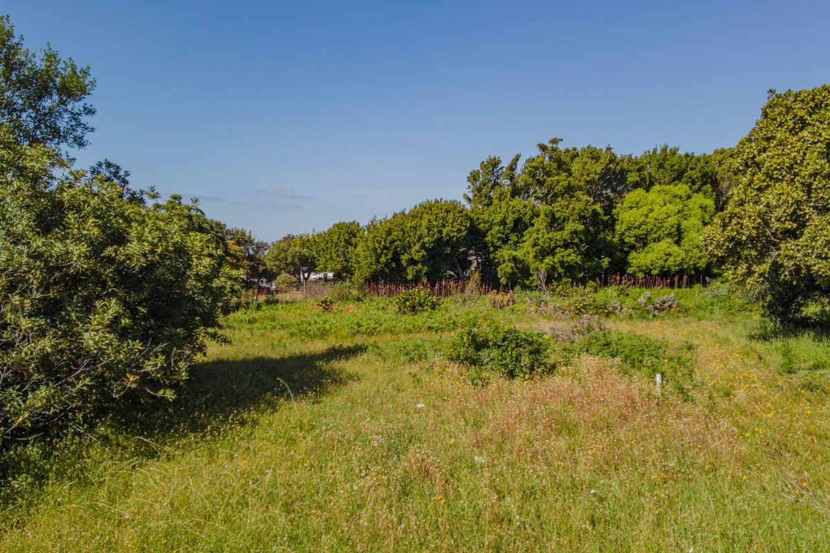Mountain Avenue 977 sqm Vacant Stand in Kleinmond - Photo 5