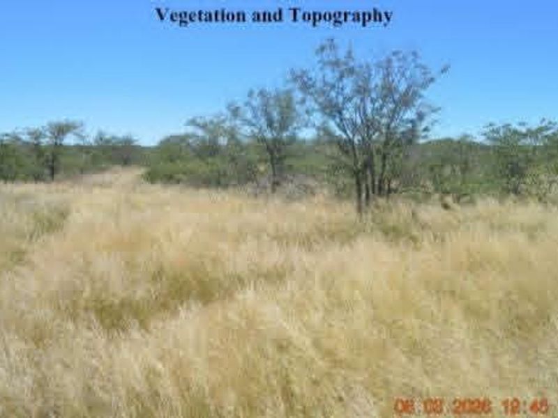 A view of the farm landscape featuring natural vegetation and open topography.