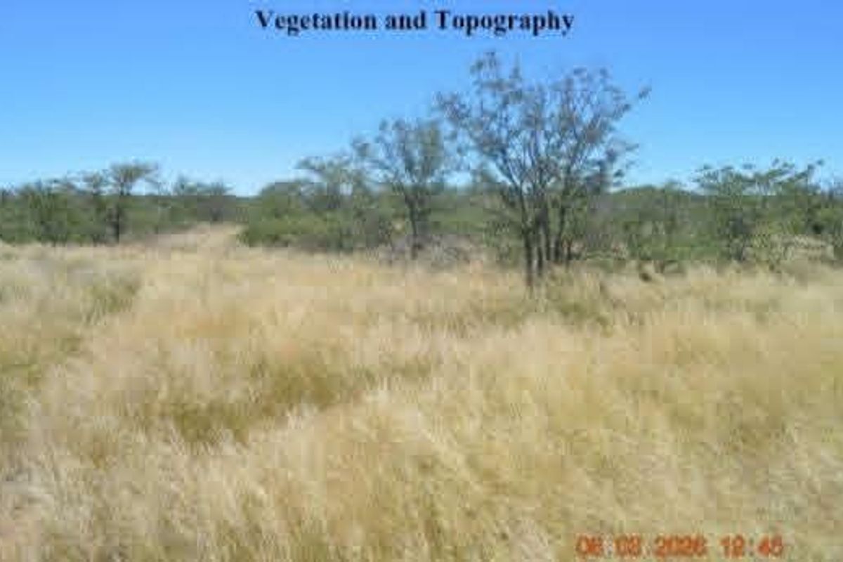A view of the farm landscape featuring natural vegetation and open topography.