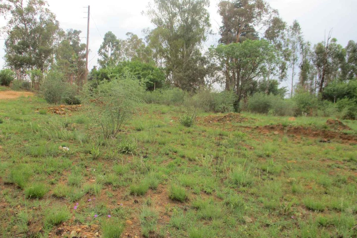 A view of the vacant residential land featuring natural vegetation, mature trees, and an existing utility pole on the property.