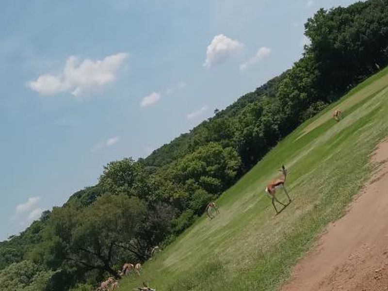 vacant land - Photo 10