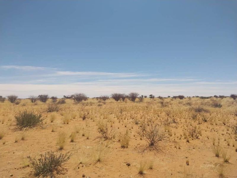 South Rehoboth - Photo 5