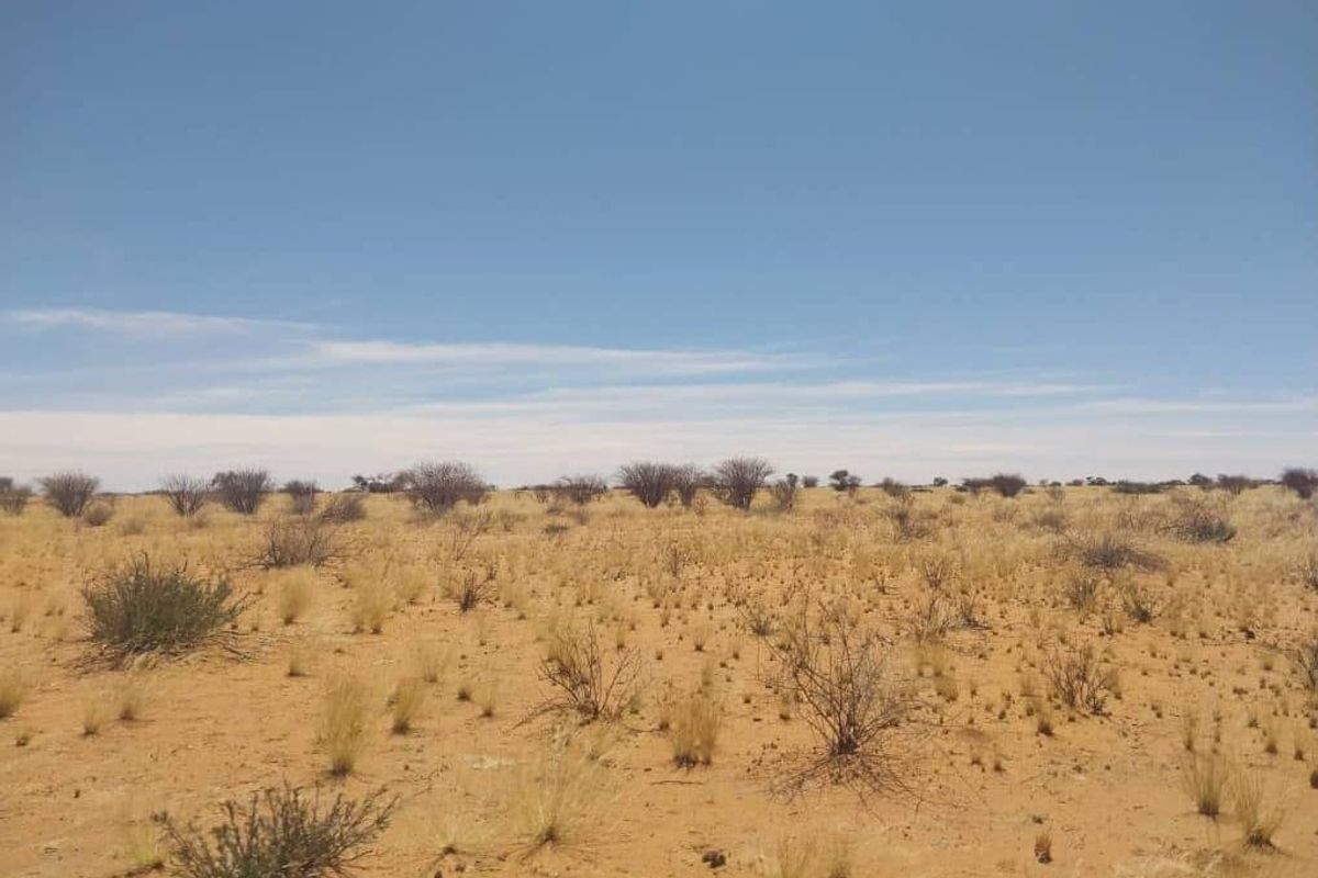 South Rehoboth - Photo 5