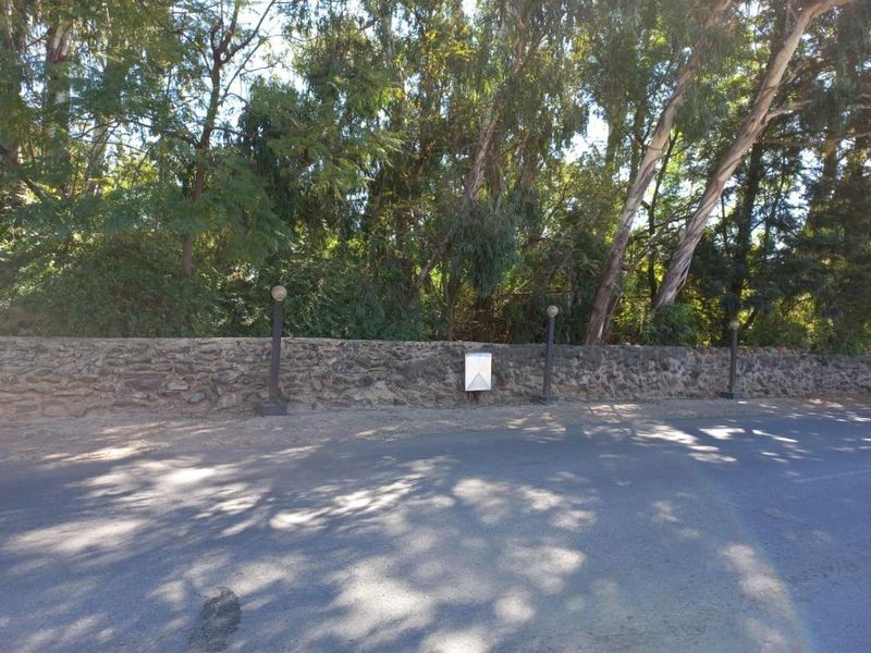 A street-level view of the property boundary featuring a rustic stone wall, integrated post lighting, and mature trees providing privacy.