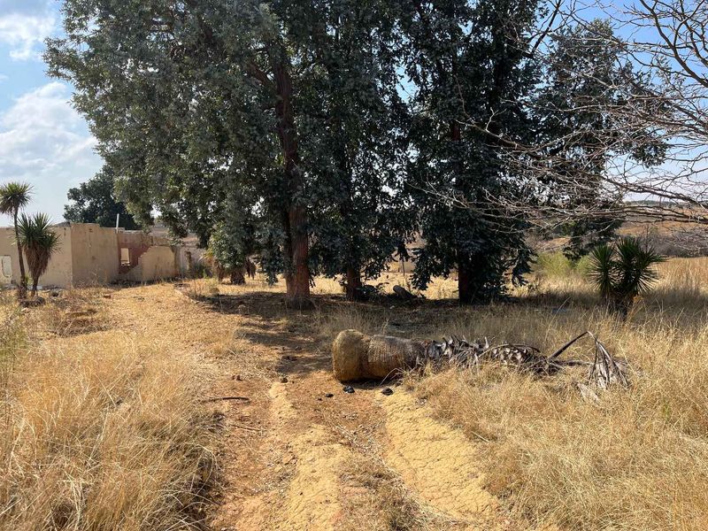 Huge Land with lots of potential - Photo 5