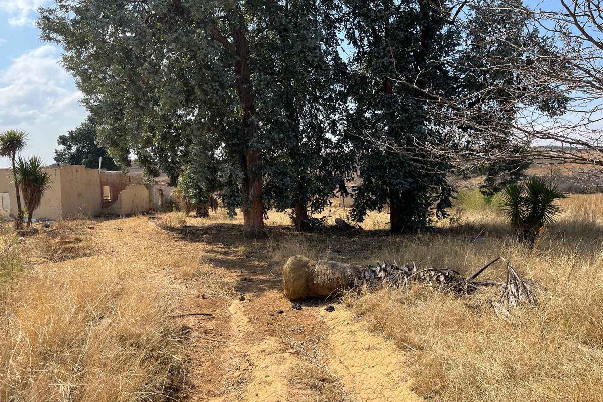 Huge Land with lots of potential - Photo 5