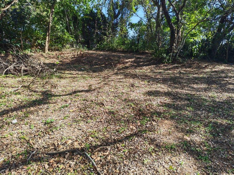 A sloped residential plot featuring mature trees and natural ground cover, offering a private and wooded setting for potential development.