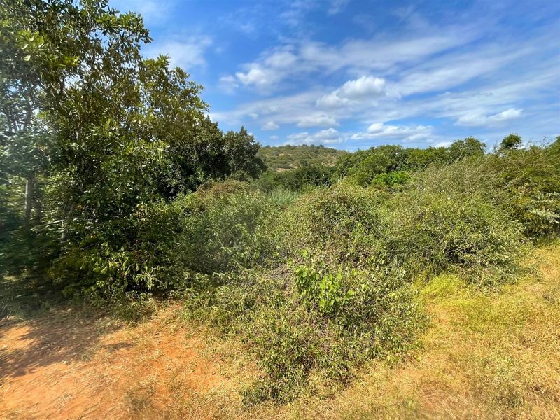 Riverside Stand in Elephant Rock Eco Estate - Photo 2