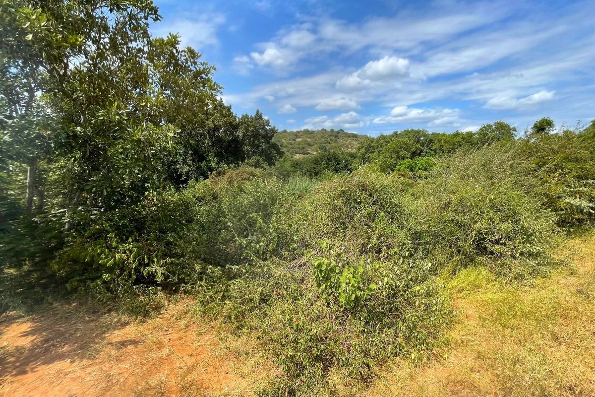 Riverside Stand in Elephant Rock Eco Estate - Photo 2