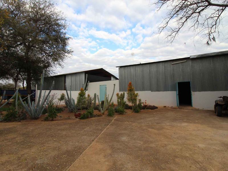 951ha Prime Wildlife, Cattle & Farming Farm for Sale – Limpopo Bushveld - Photo 10