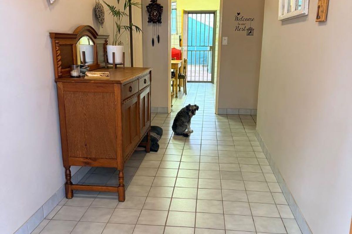 Kleine Windhoek house for sale. - Photo 4