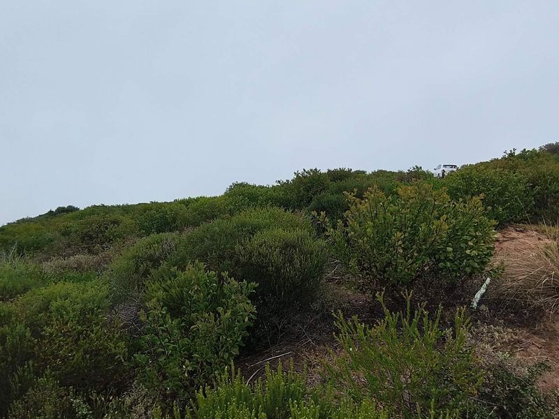 Exclusive Oppertunity - 1813m2 Vacant Land in Paradise Coast Eco Estate - Photo 8