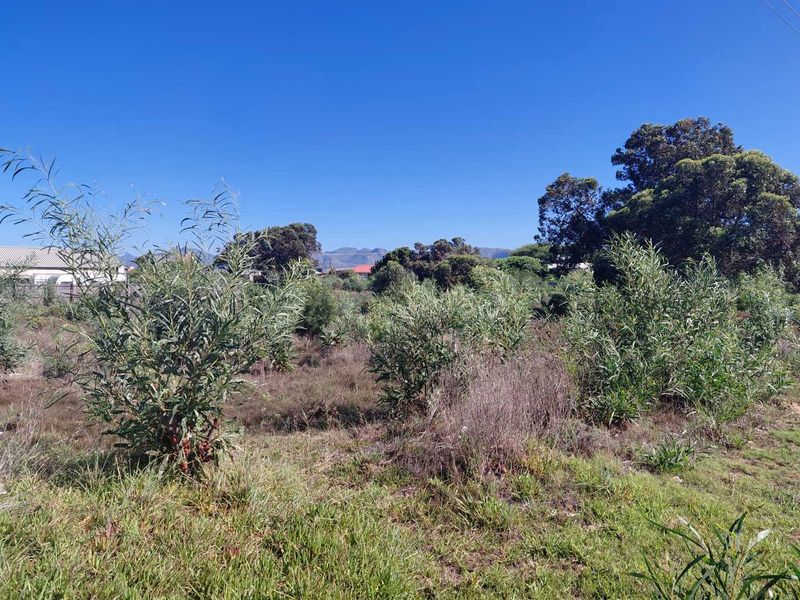 Vacant stand in picturesque Fisherhaven - Photo 3