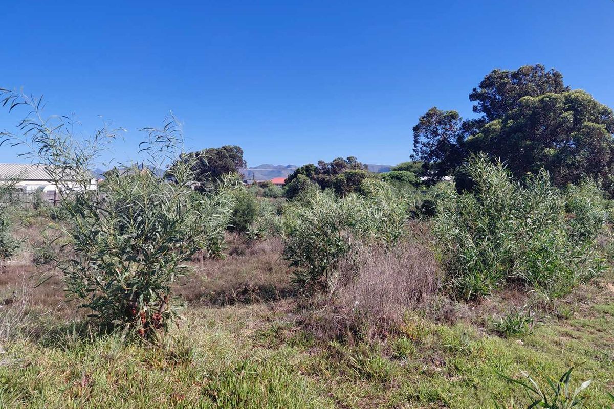 Vacant stand in picturesque Fisherhaven - Photo 3