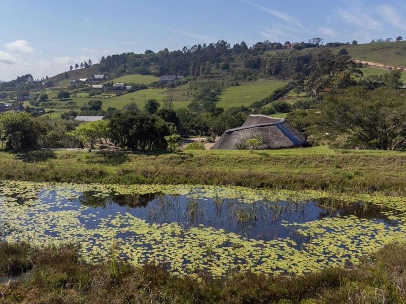 For Sale | Phezulu Eco Estate  | Vacant Land in Wildlife Paradise - Photo 8