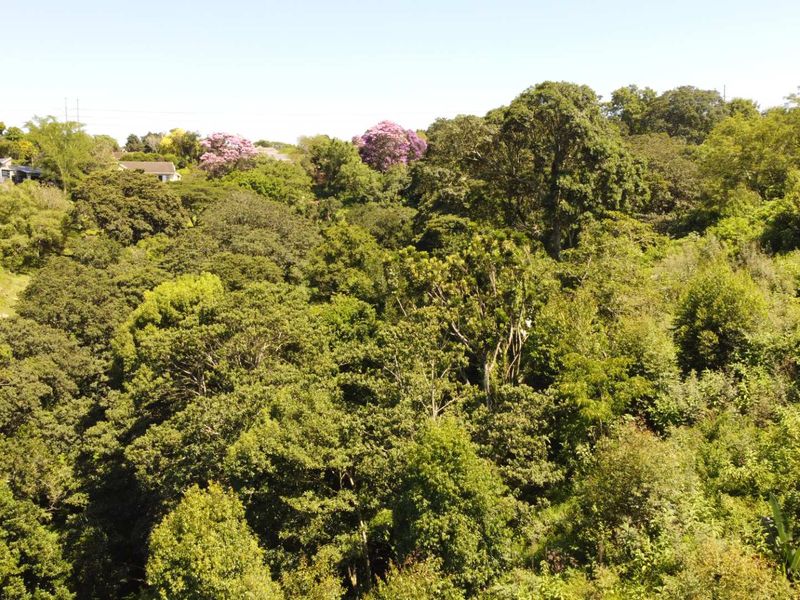 Discover an exceptional opportunity to own prime vacant land in one of the most sought-after areas of the Upper Highway in Gillitts. - Photo 2