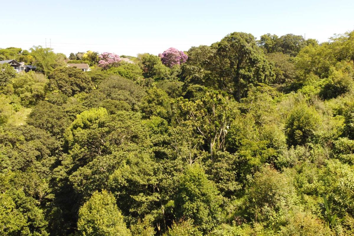 Discover an exceptional opportunity to own prime vacant land in one of the most sought-after areas of the Upper Highway in Gillitts. - Photo 2