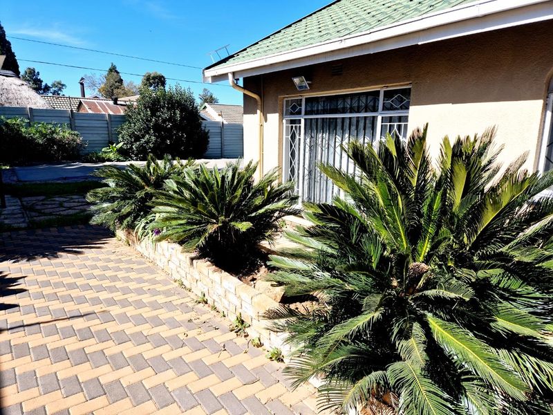 Front exterior view of the house featuring a paved driveway, brick retaining wall, and established cycad landscaping.