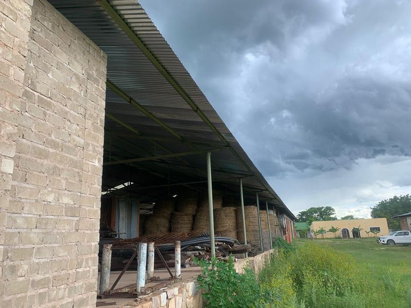 Well established game / hunting farm, Otavi - Photo 8