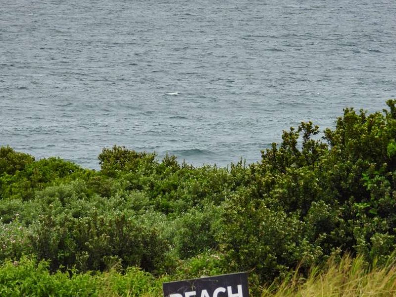 Seaton Charming Empty Stand - Photo 7