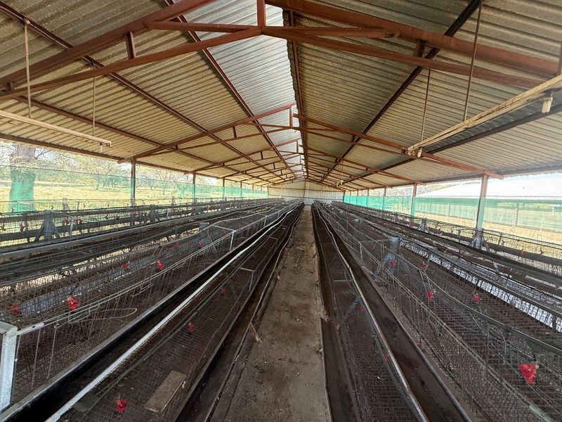 A farm for sales near Okahandja 📍 - Photo 7