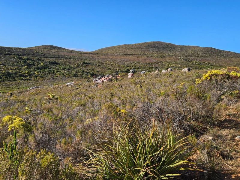 A Dream Come True - Photo 9