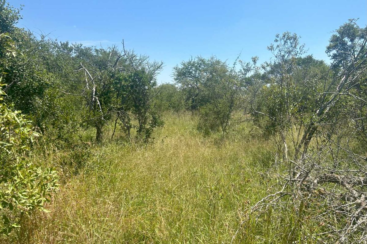 MODITLO WILDLIFE ESTATE - Vacant land for sale! - Photo 4