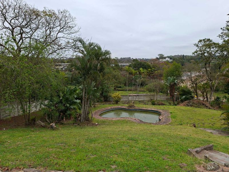 A large, sloped garden area featuring an existing swimming pool with brick coping, surrounded by mature trees and established landscaping.