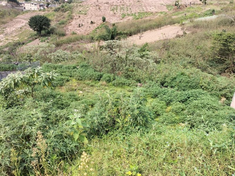 Prime Development Land with Approved Triple Storey Plans - Photo 1