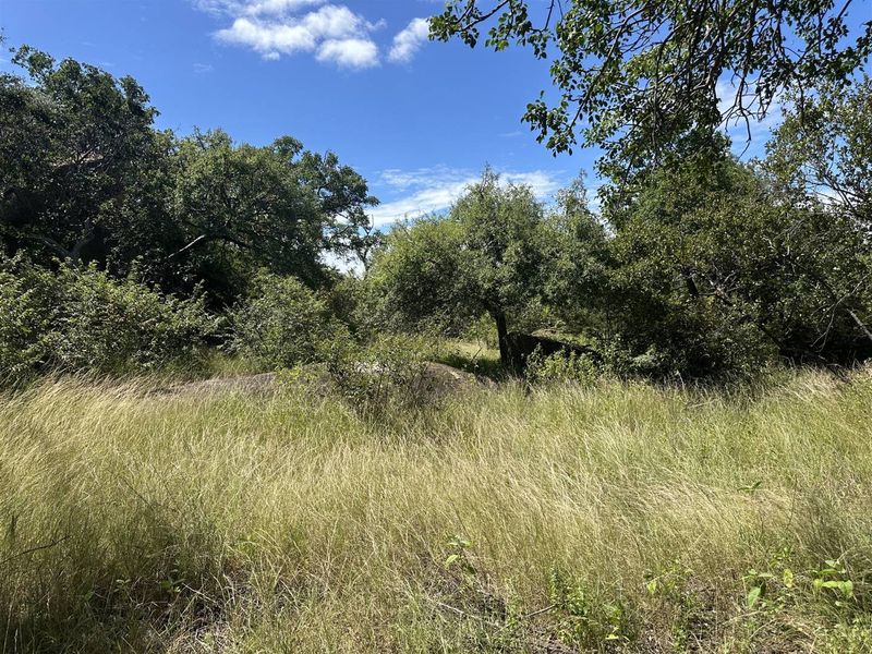 Secure a stunning stand in the bush in this pet friendly and exclusive reserve. - Photo 4