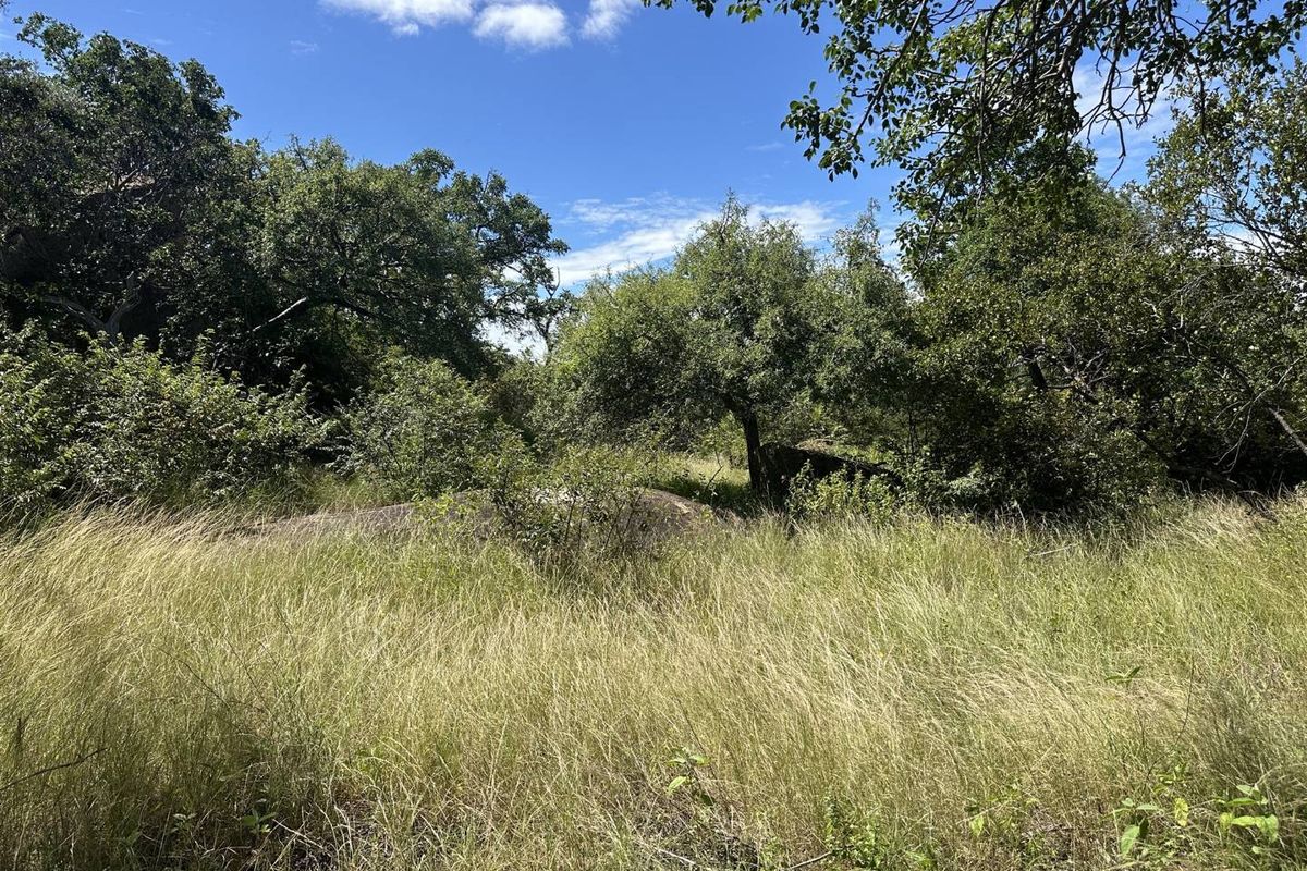 Secure a stunning stand in the bush in this pet friendly and exclusive reserve. - Photo 4