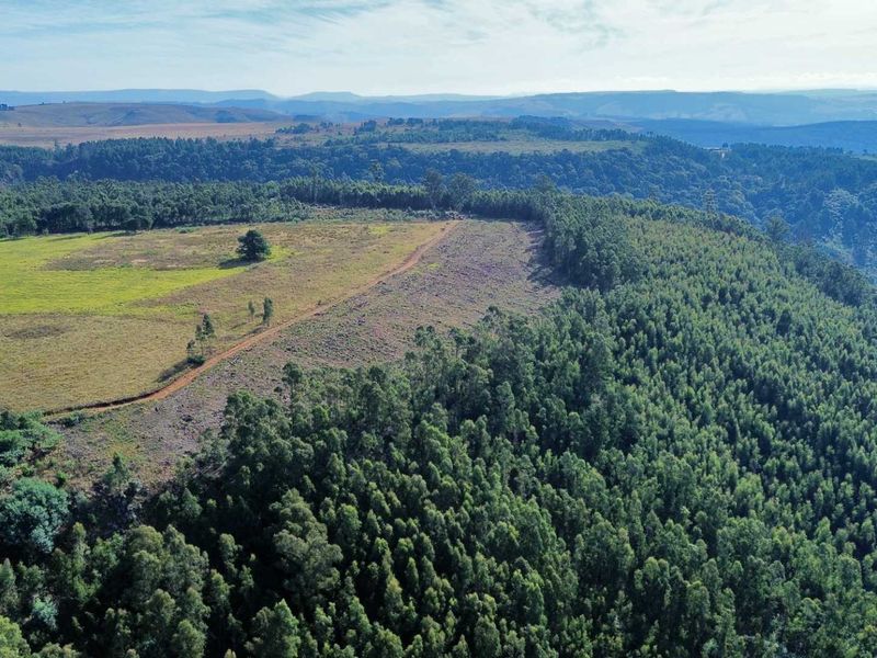 33-Hectare Vacant Land with Forest and Panoramic Views in the Midlands, Howick Rural - Photo 5