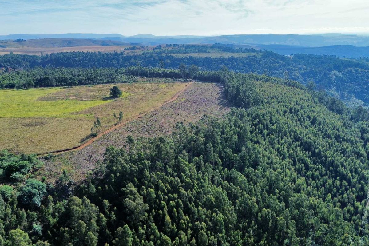33-Hectare Vacant Land with Forest and Panoramic Views in the Midlands, Howick Rural - Photo 5