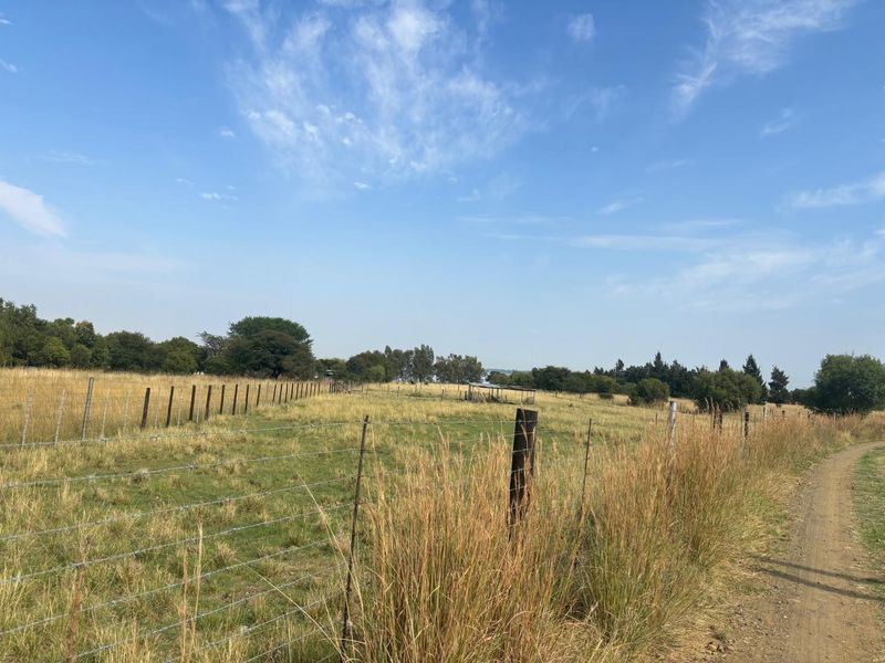 Build your dream on the Vaal dam. - Photo 9