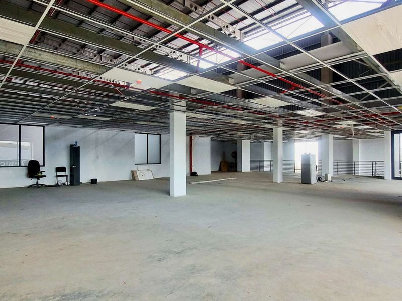 Spacious open-plan industrial unit featuring exposed ceiling grid, concrete flooring, and structural columns, currently in a shell condition ready for fit-out.
