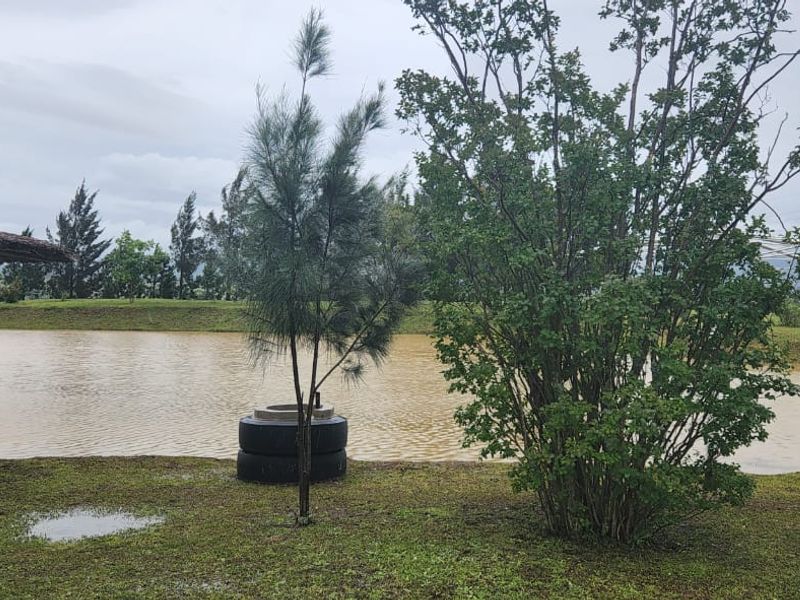 Farm for sale with venue and housing - Photo 9