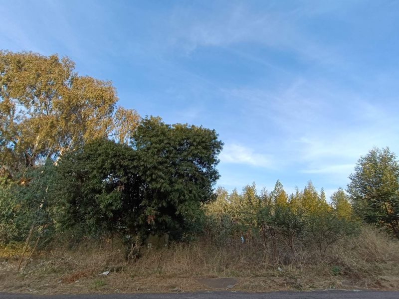 A view of a vacant residential plot featuring mature trees and natural vegetation, offering a blank canvas for future development.