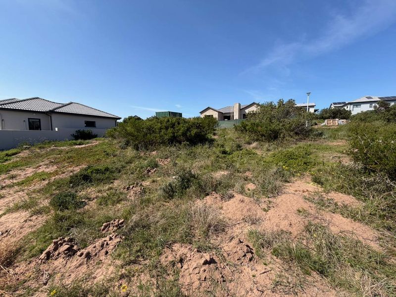 A vacant residential plot featuring natural vegetation and sandy terrain, situated in a developed neighborhood with surrounding residential properties.
