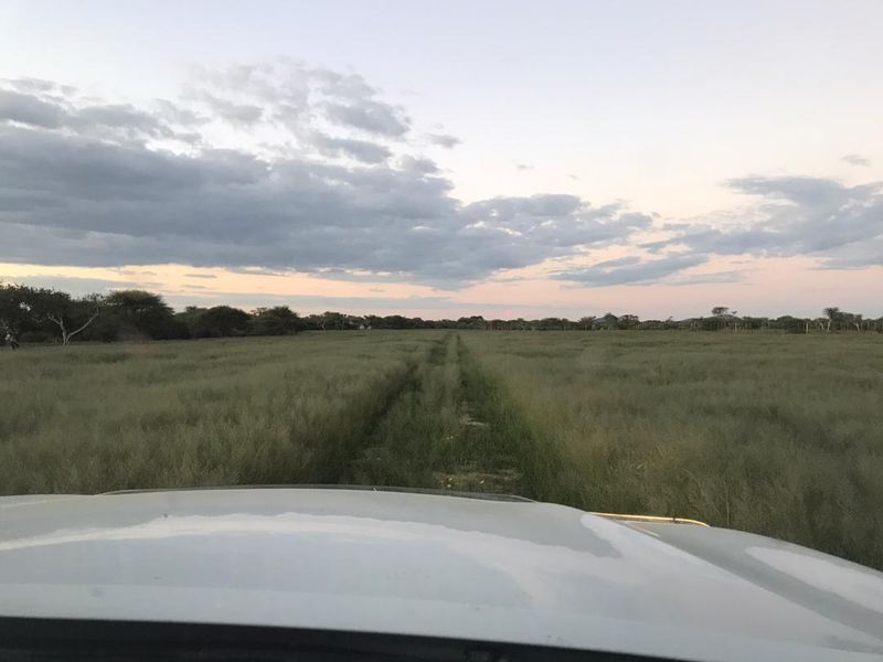 A view across the open grassland of the small holding, showing the natural landscape and perimeter fencing under a sunset sky.